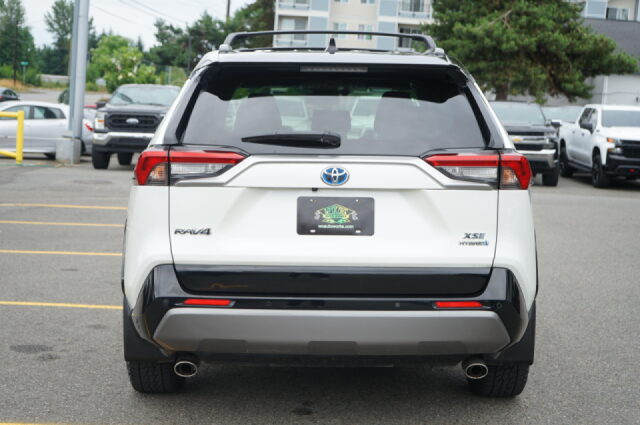 2019 Toyota RAV4 Hybrid XSE Image 4