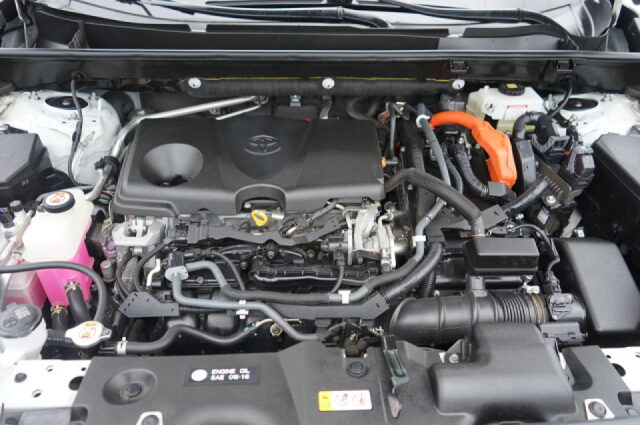2019 Toyota RAV4 Hybrid XSE Image 10